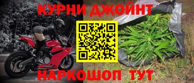 прущие грибы Бийск
