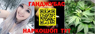 прущие грибы Бийск