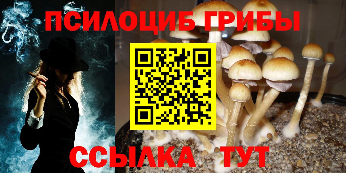 Псилоцибиновые грибы Cubensis  Галлюциногенные грибы Magic Shrooms  Клинцы  Вход с VPN 